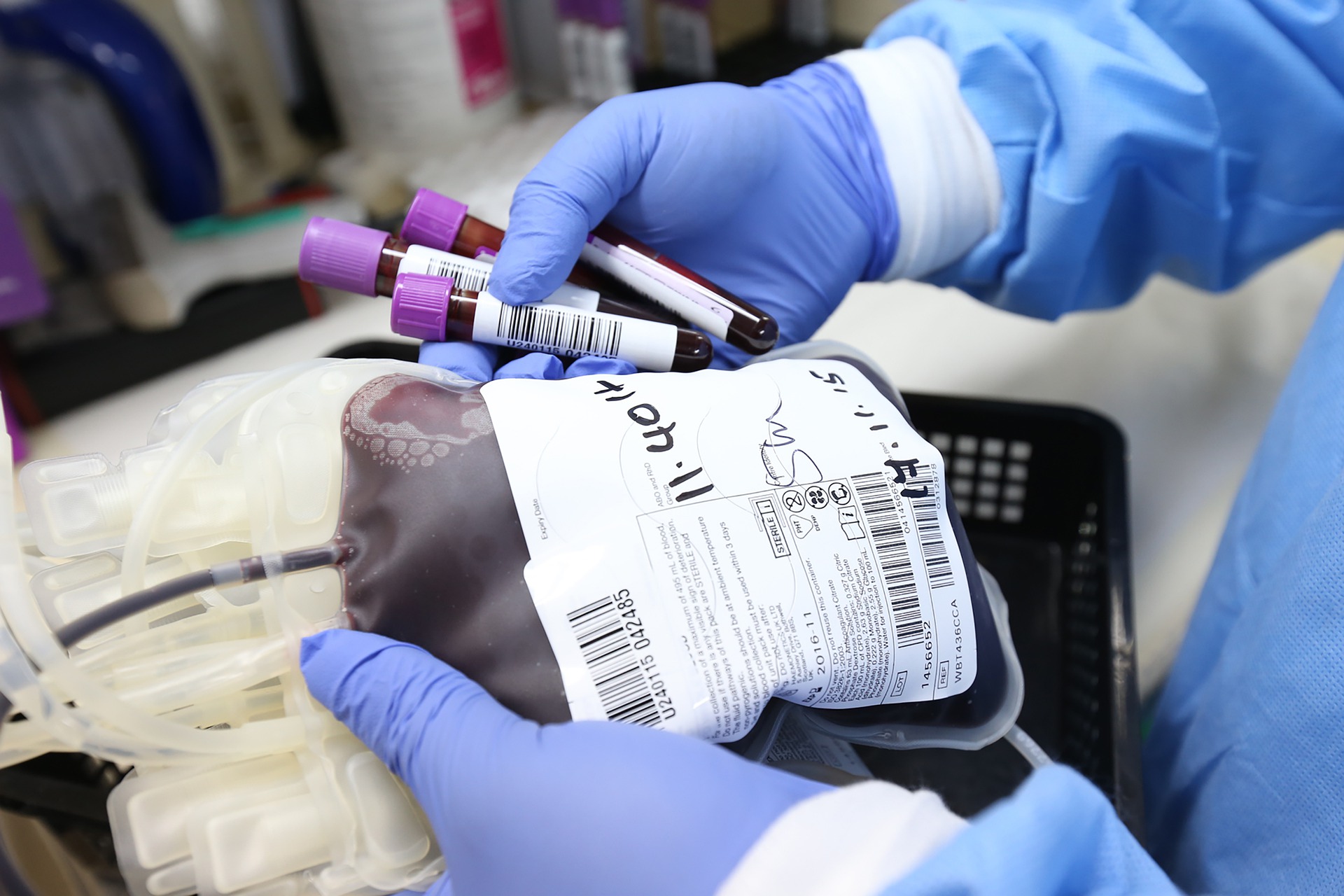 Veja como montar um sistema para garantir a privacidade dos doadores de sangue