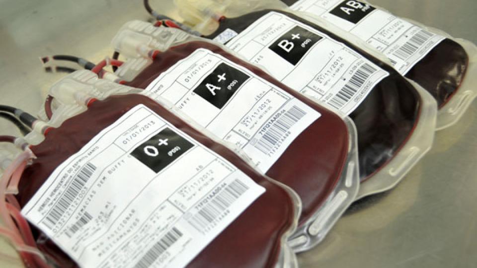 Imagem mostra bolsas de sangue com etiquetagem no padrão ISBT 128