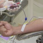 Imagem mostra doação de sangue para Transplante de Medula Óssea (TMO)