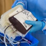 Tudo o que você precisa saber sobre os bancos de sangue