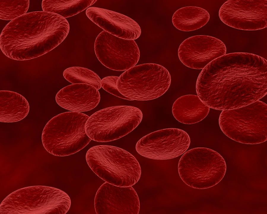 Tudo o que você precisa saber sobre os tipos sanguíneos